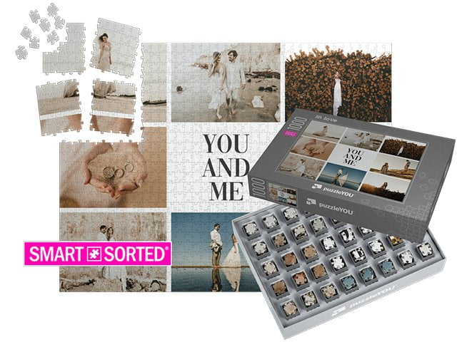 Puzzlebox Delphin Grey