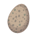egg